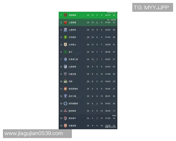 武汉排球队在钻石联赛积分榜中以95分稳居第一名展现强劲实力