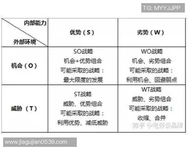 深入分析杭州排球队的进攻策略与战术特点探讨