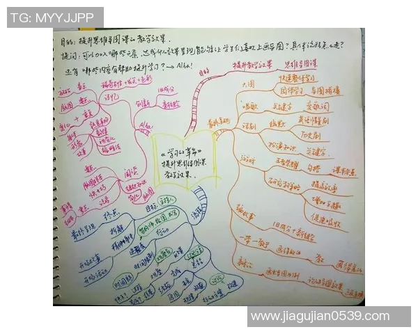 羽毛球场上的奋斗与坚持刘伟的深度对话与人生启示