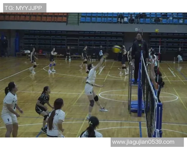 广州排球队心理素质提升之路：热议排球背后的心灵变革与团队精神