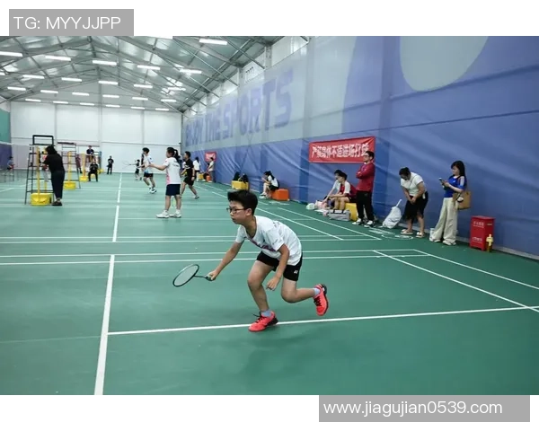 成都羽毛球队在钻石联赛中的拼搏历程与荣耀时刻回顾