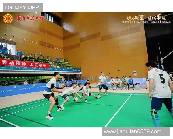 成都排球队在洲际杯中的团队协作表现值得称赞与反思