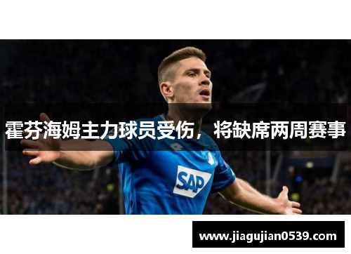 霍芬海姆主力球员受伤，将缺席两周赛事